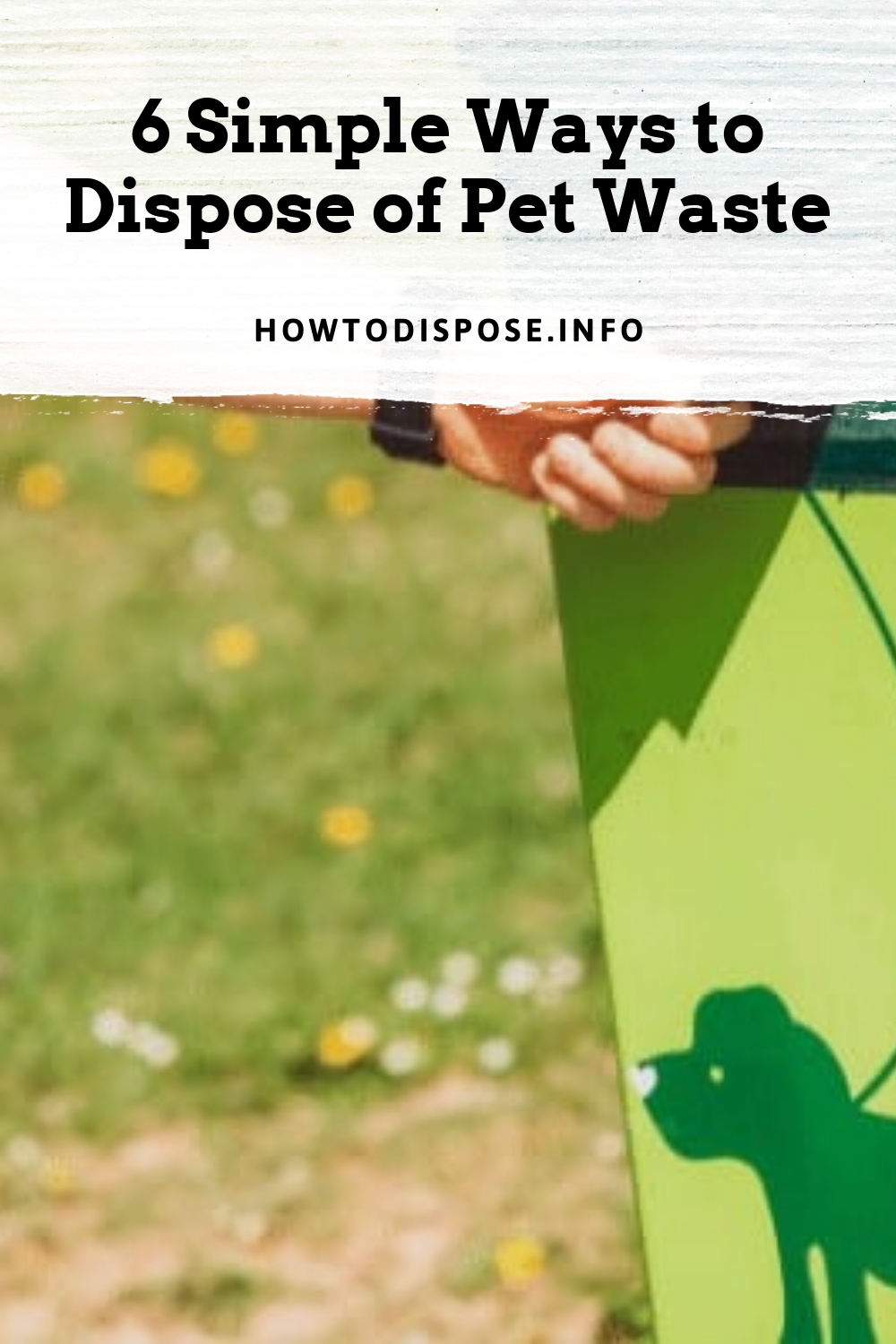 6 Simple Ways to Dispose of Pet Waste How to Dispose