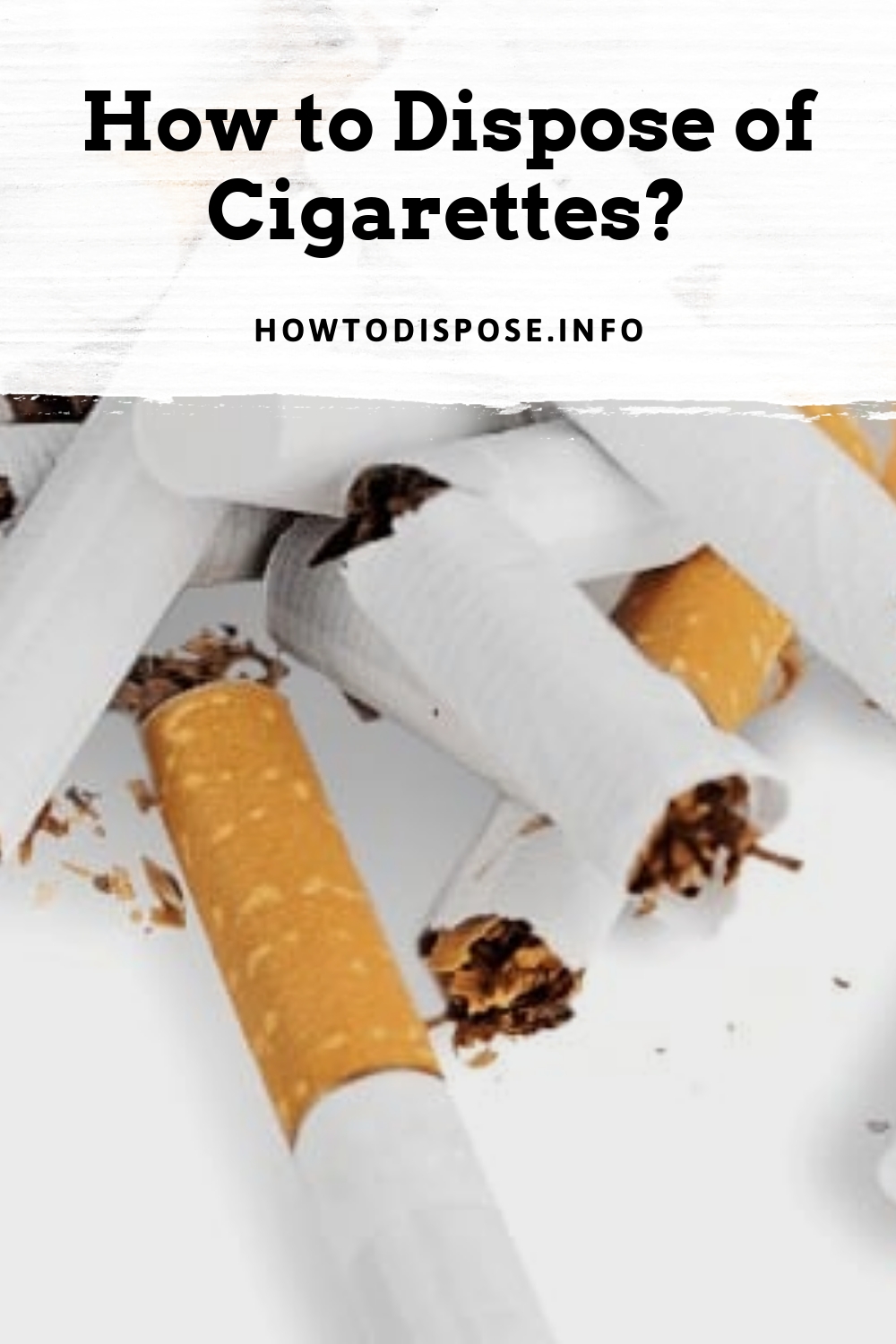 How to Dispose of Cigarettes (the right way)