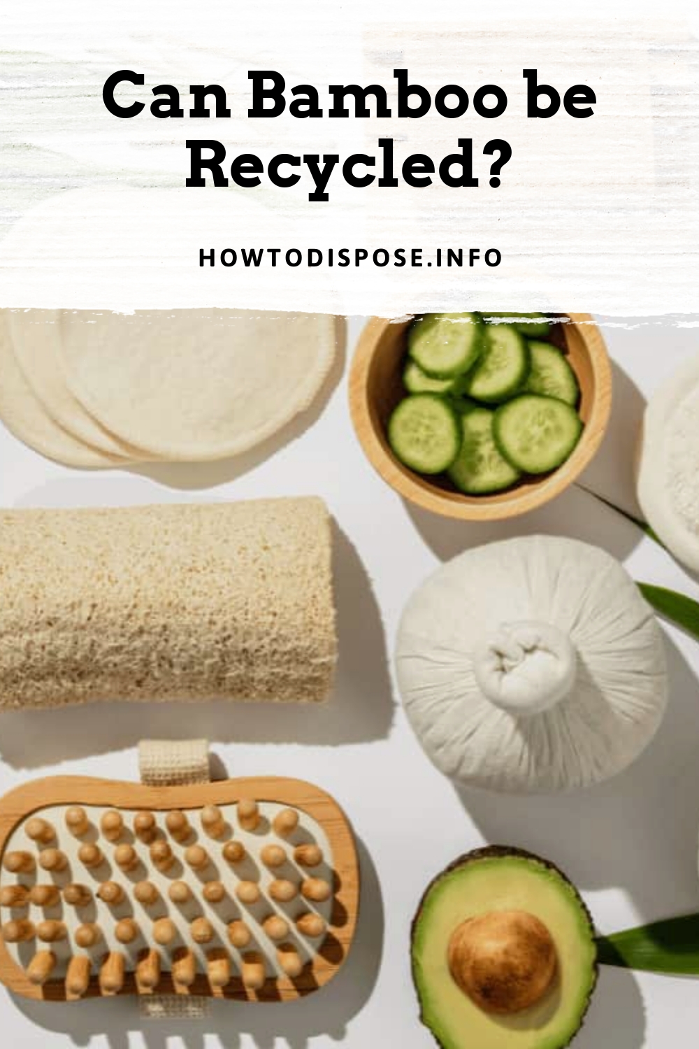 Can Bamboo be Recycled? From Plant to Purpose!
